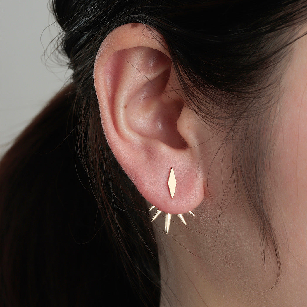 Hollow Exaggerated Earrings Earrings